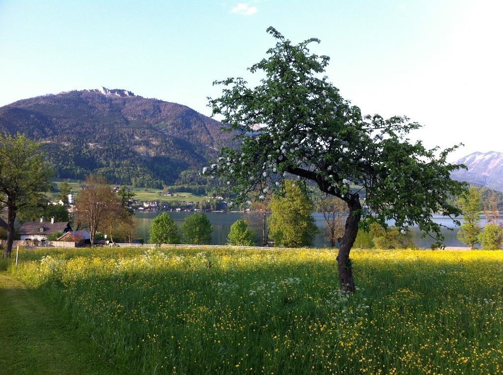 Apartamento Haus Schoenblick Strobl Exterior foto